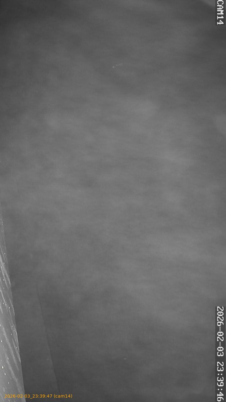 thumbnail_20260203233947