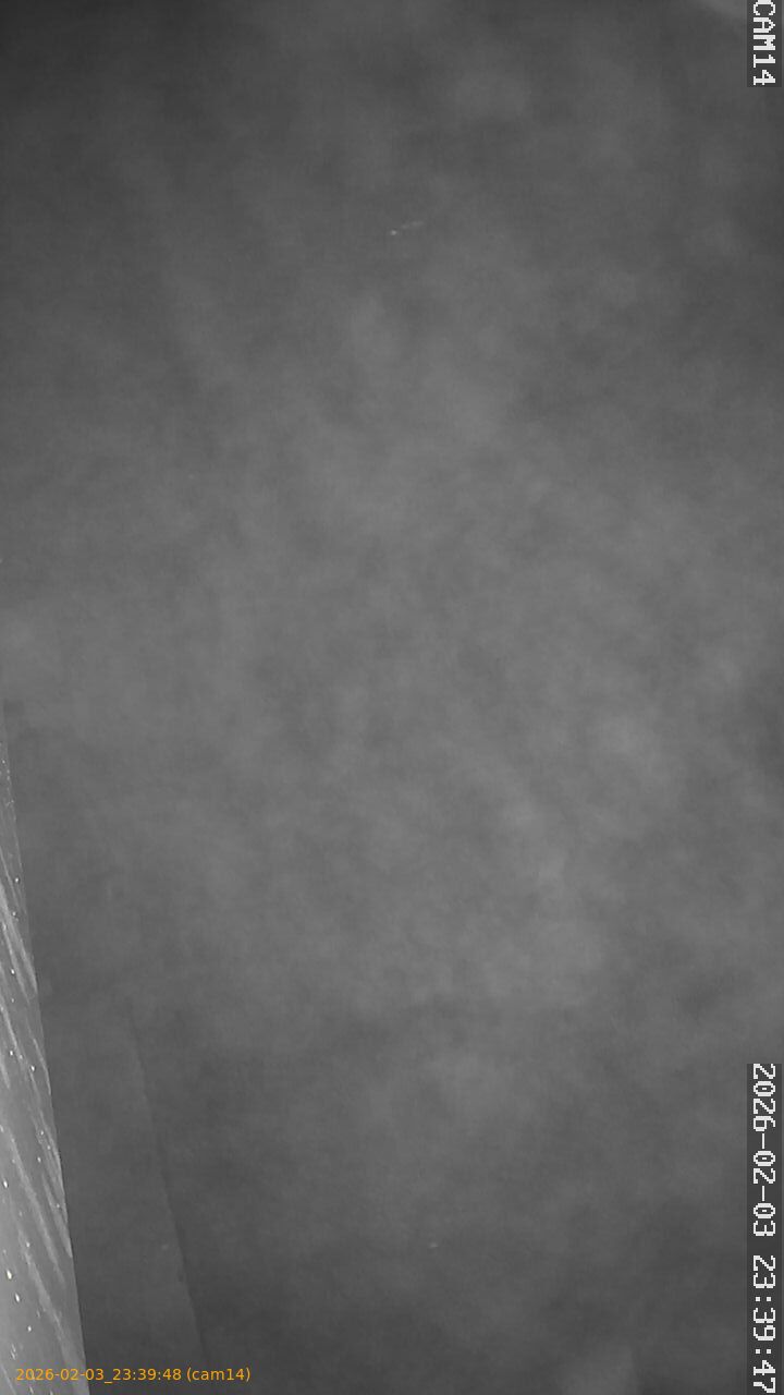 thumbnail_20260203233948