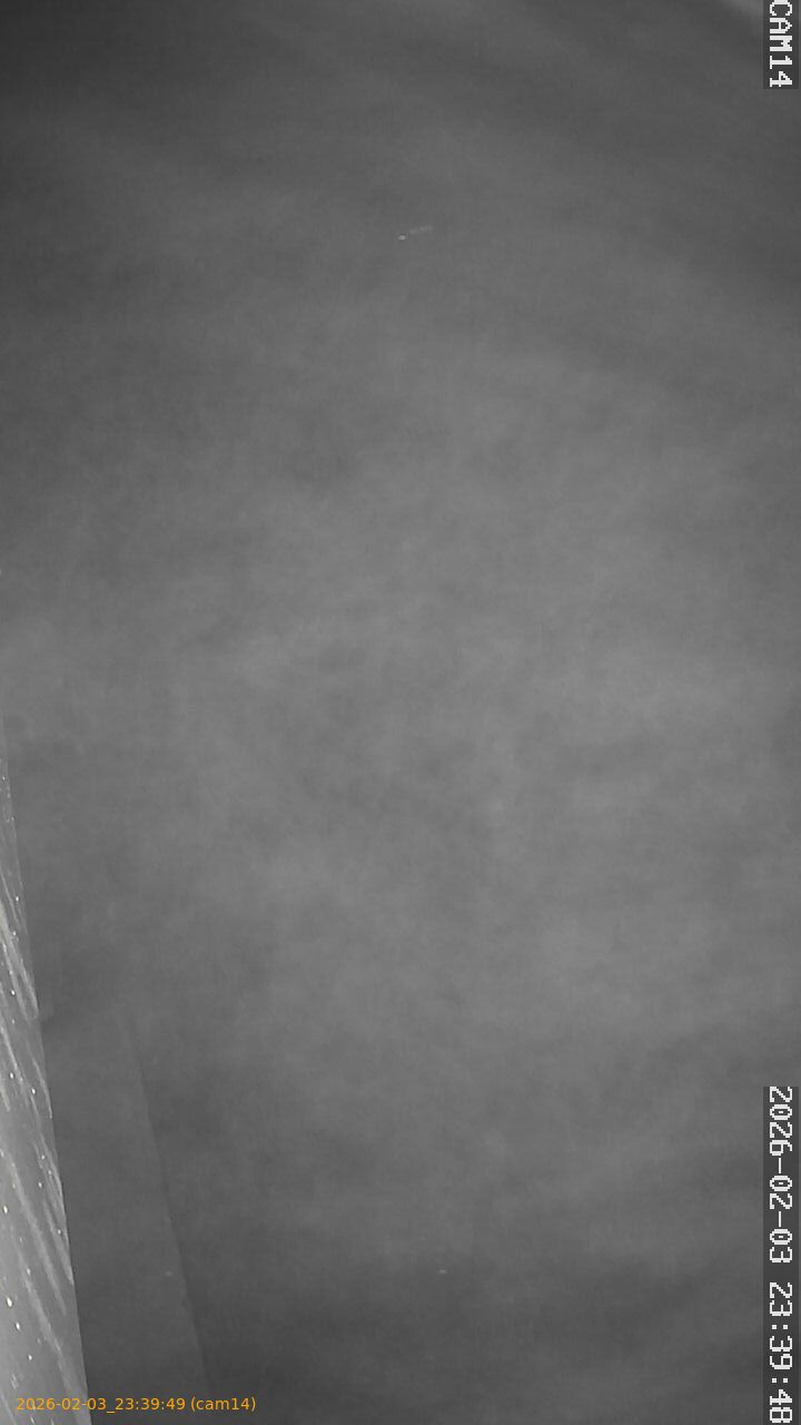 thumbnail_20260203233949