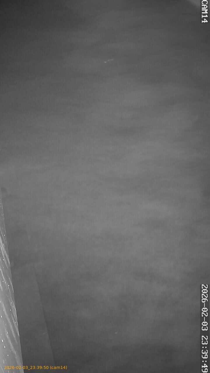 thumbnail_20260203233950