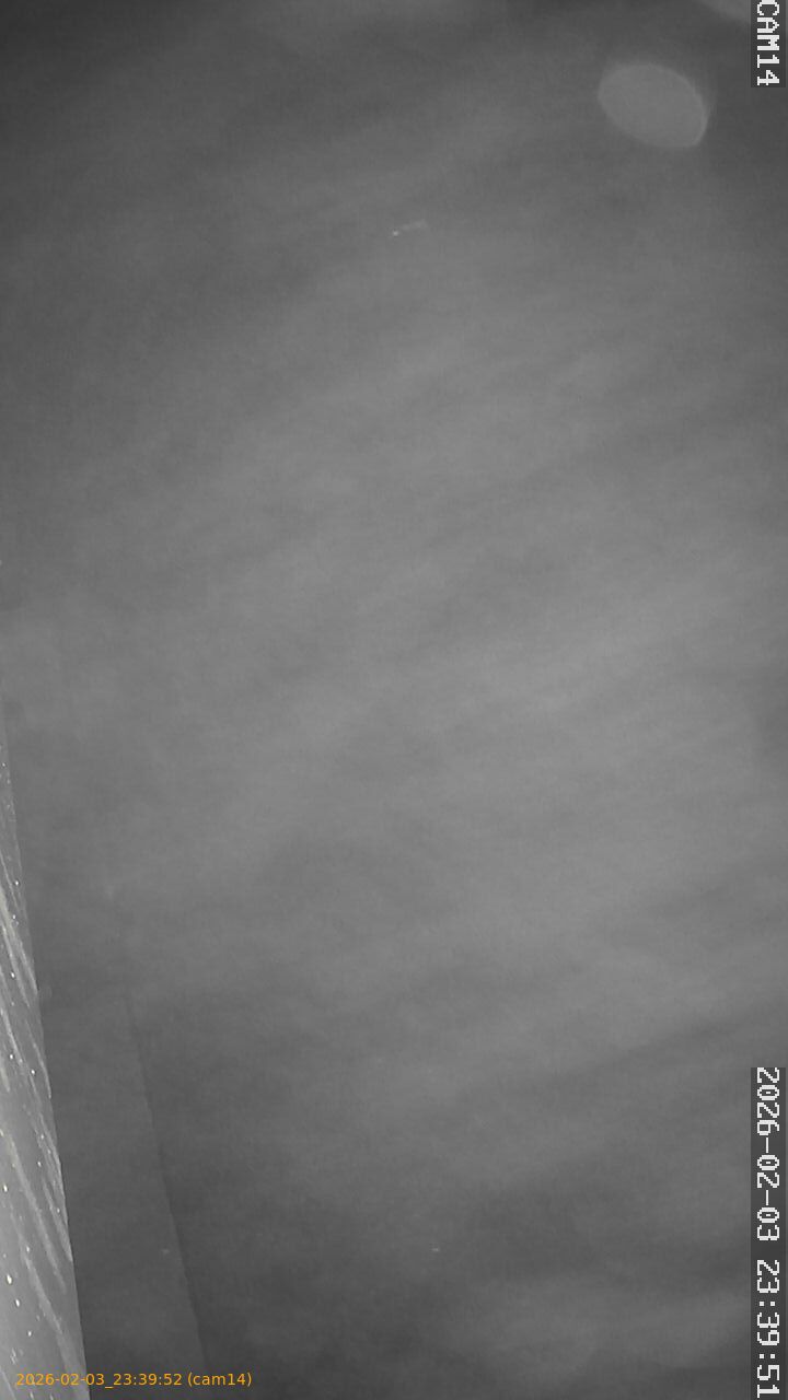 thumbnail_20260203233952