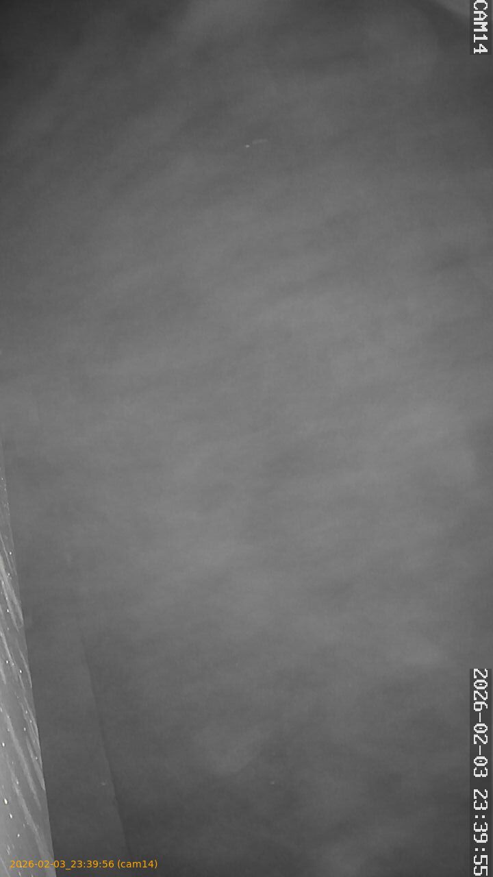 thumbnail_20260203233956