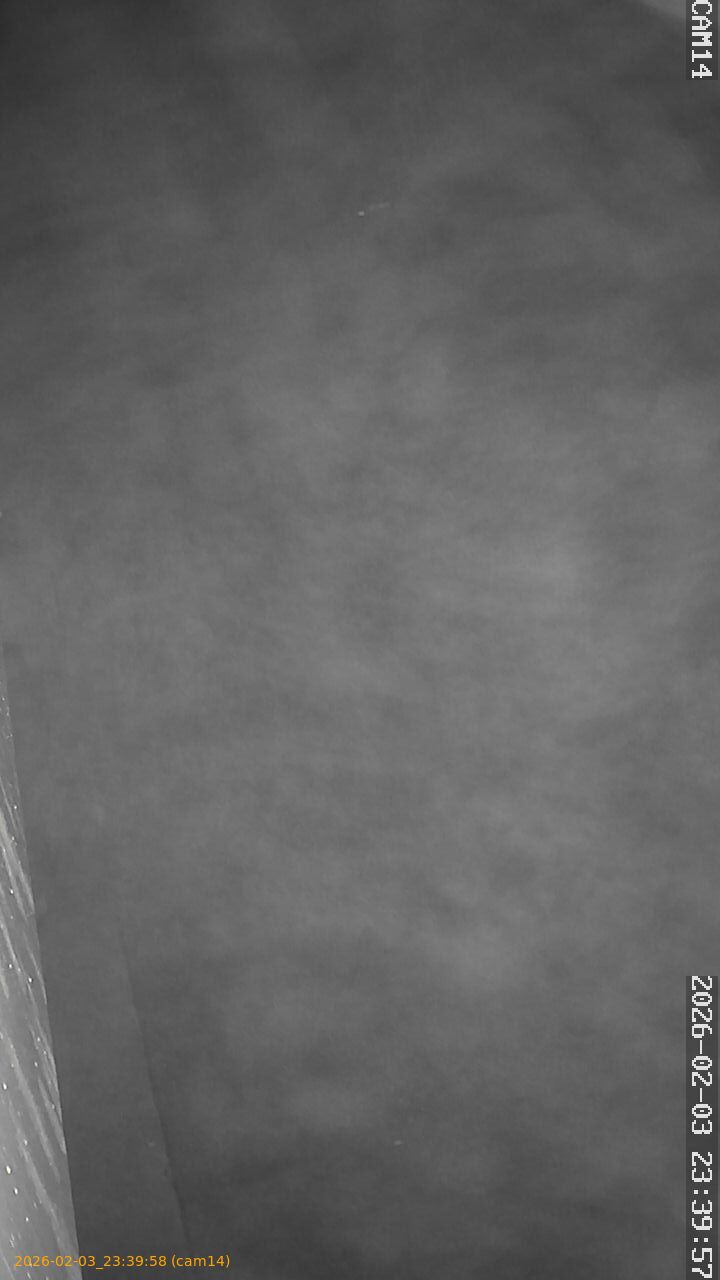 thumbnail_20260203233958