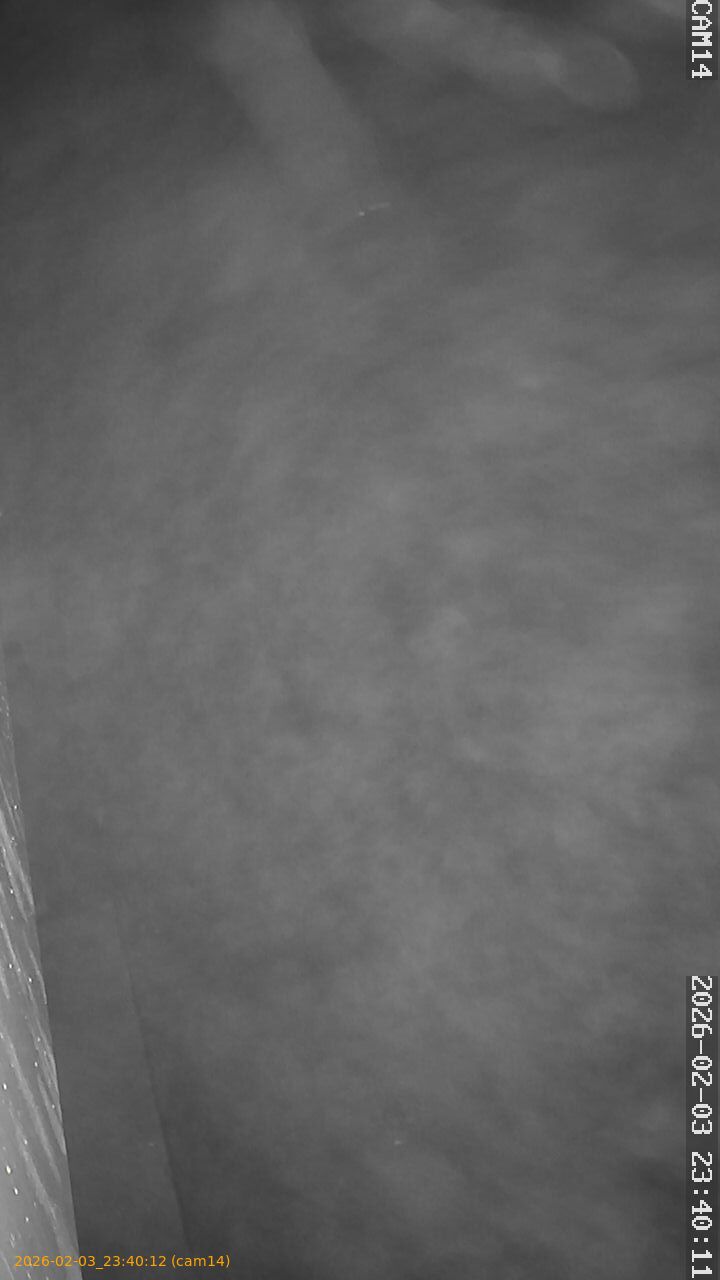 thumbnail_20260203234012