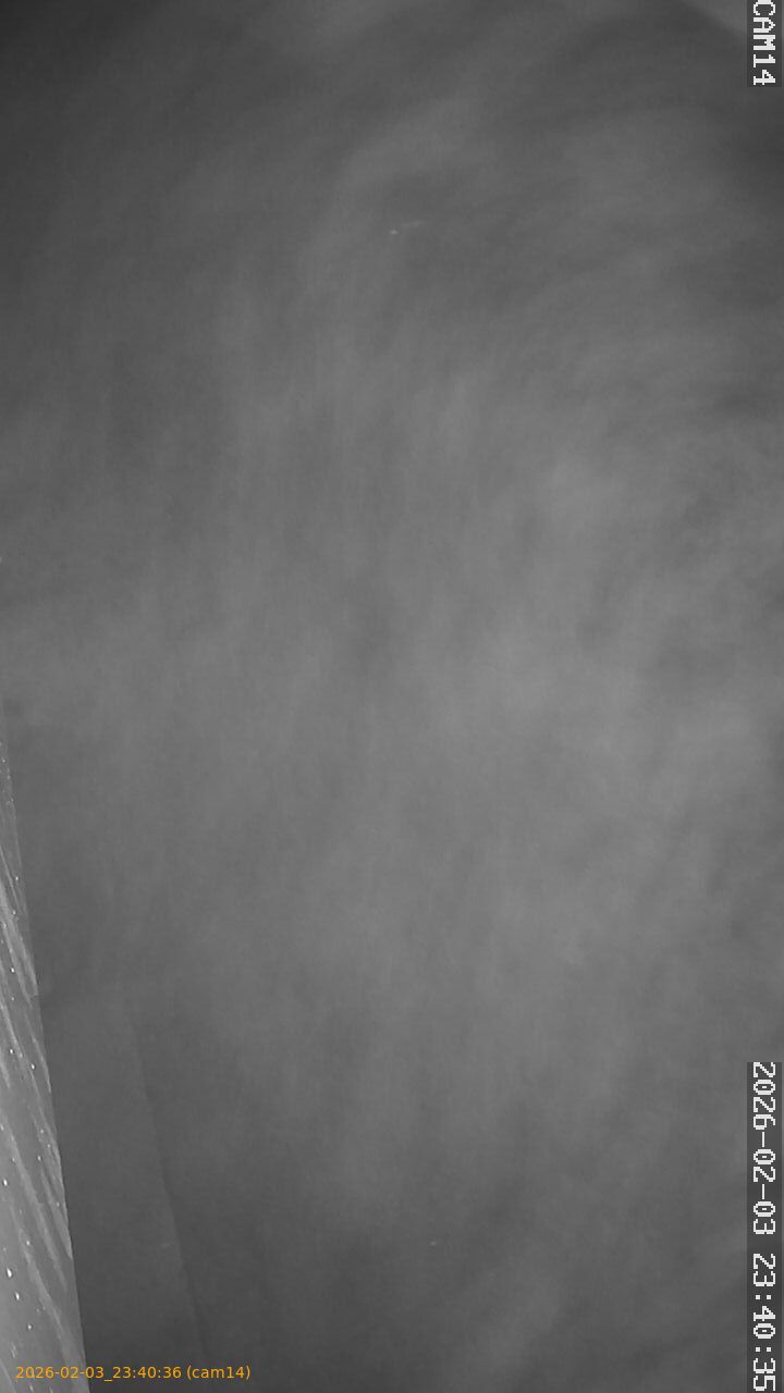 thumbnail_20260203234036