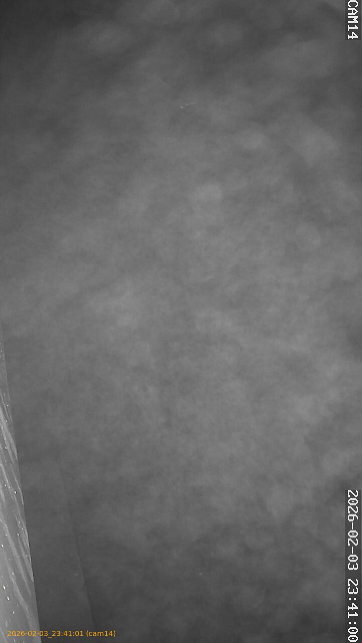 thumbnail_20260203234101