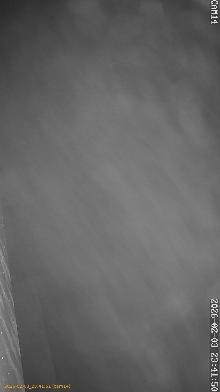 thumbnail_20260203234151