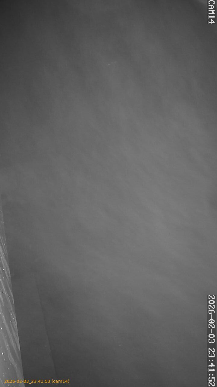 thumbnail_20260203234152