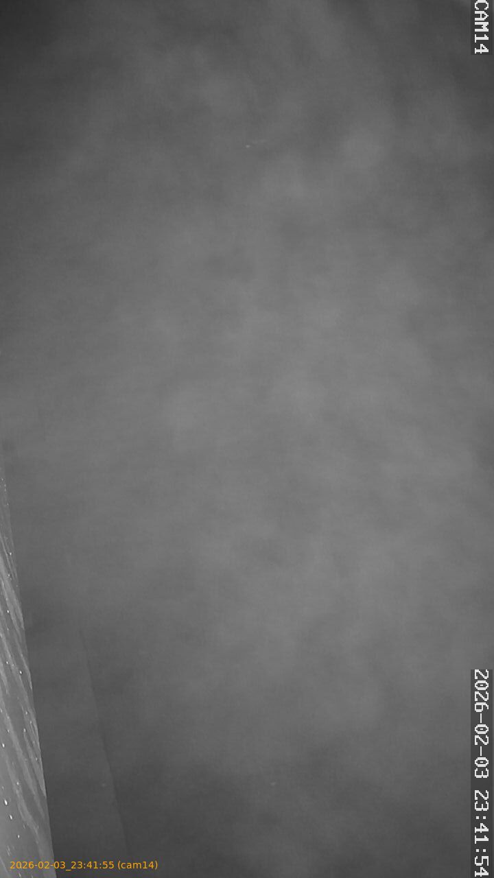 thumbnail_20260203234155