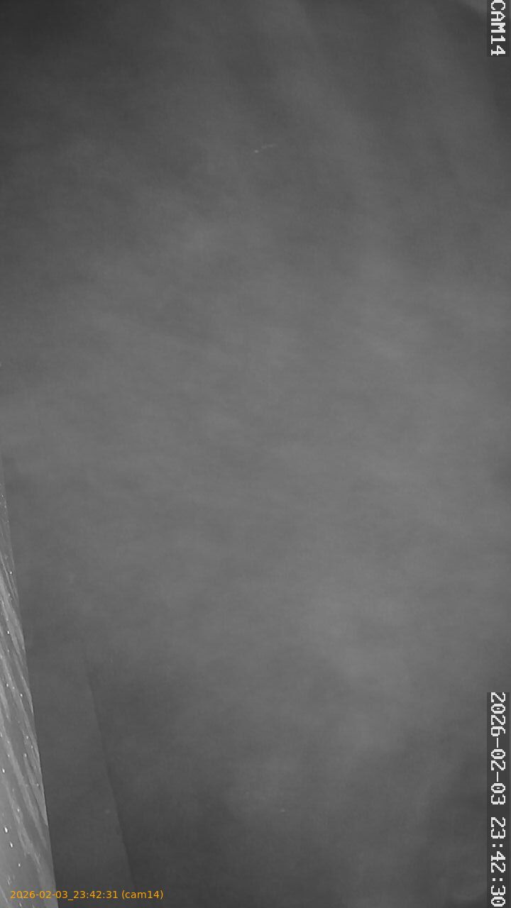 thumbnail_20260203234231