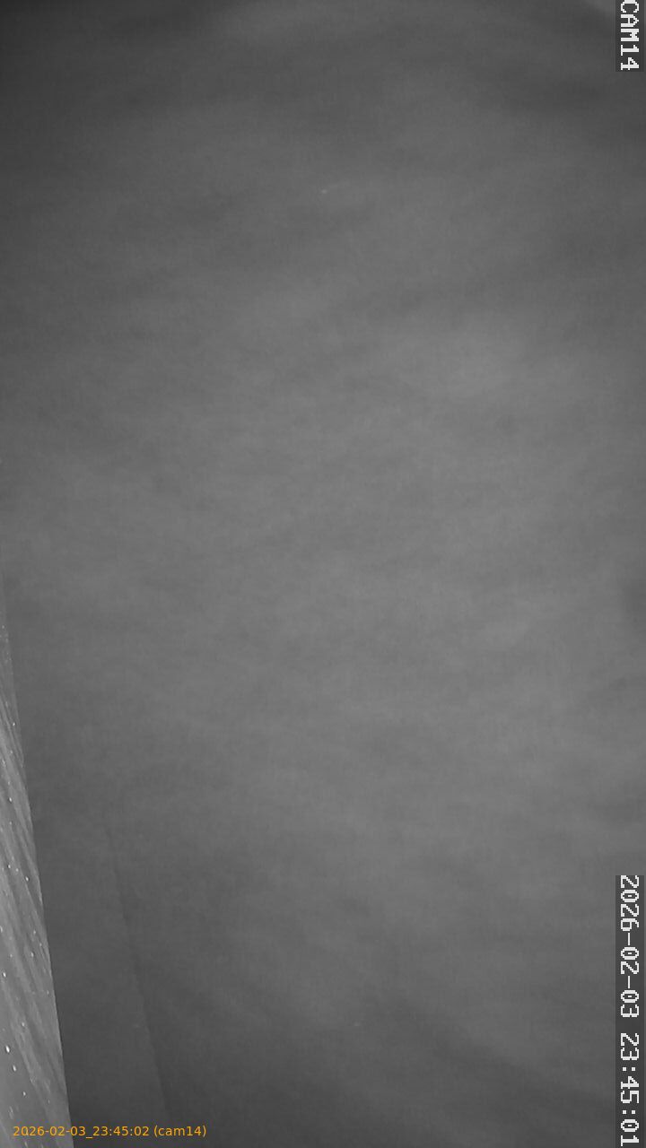 thumbnail_20260203234502