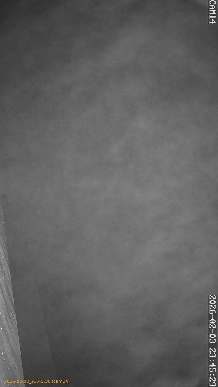 thumbnail_20260203234530