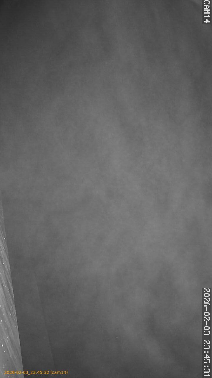 thumbnail_20260203234532