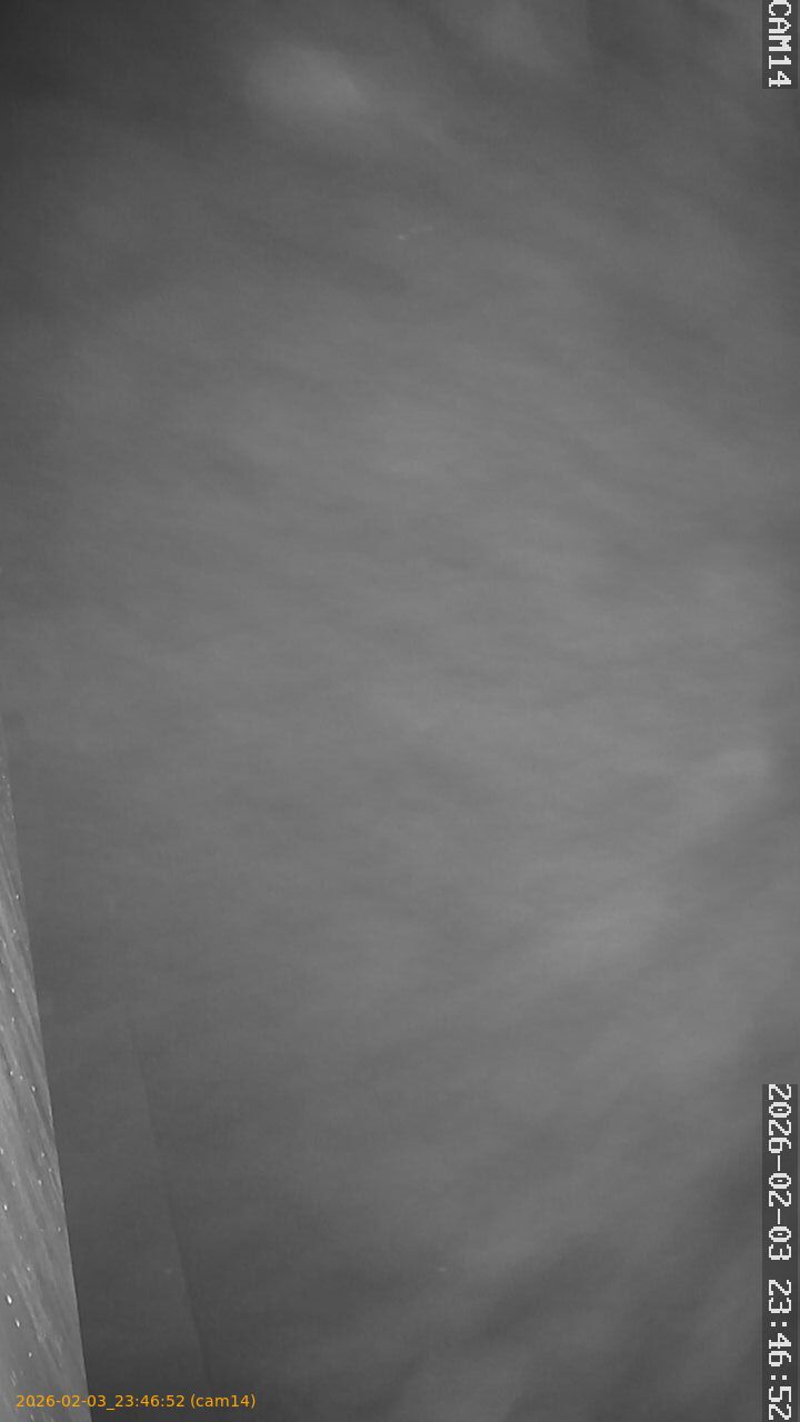 thumbnail_20260203234652