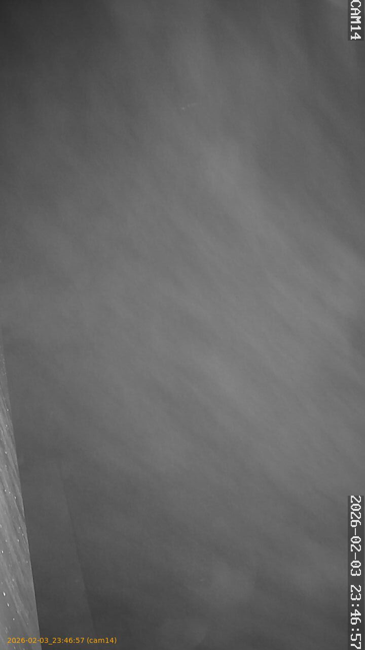 thumbnail_20260203234657