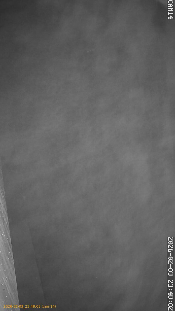 thumbnail_20260203234803