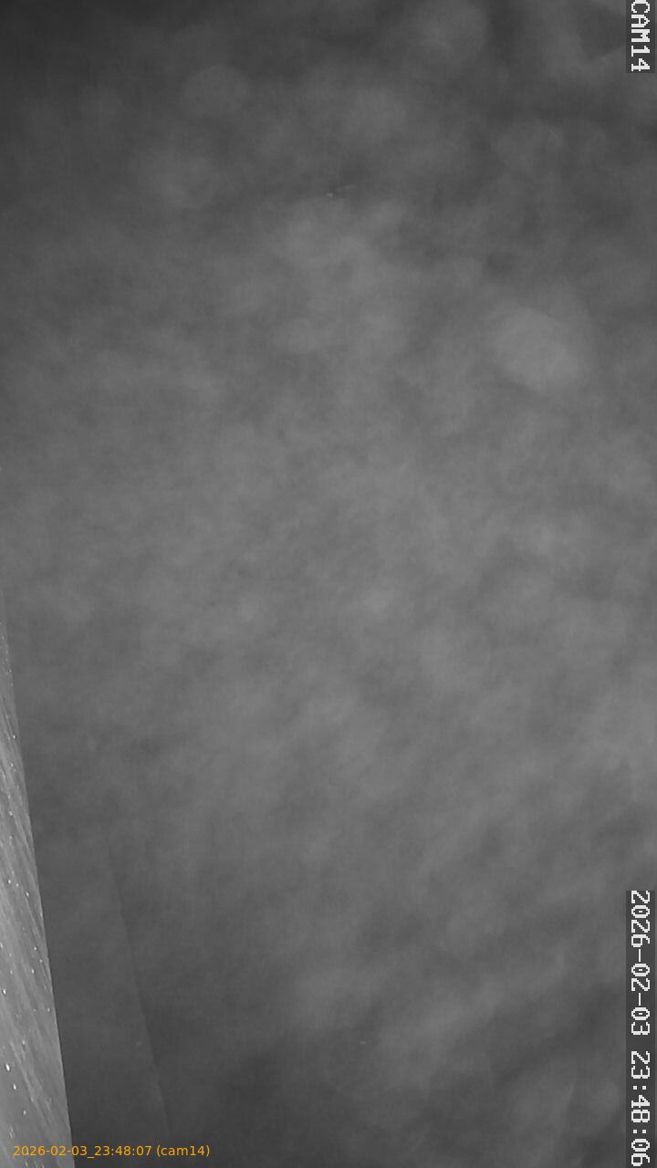 thumbnail_20260203234807