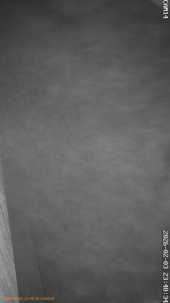 thumbnail_20260203234835