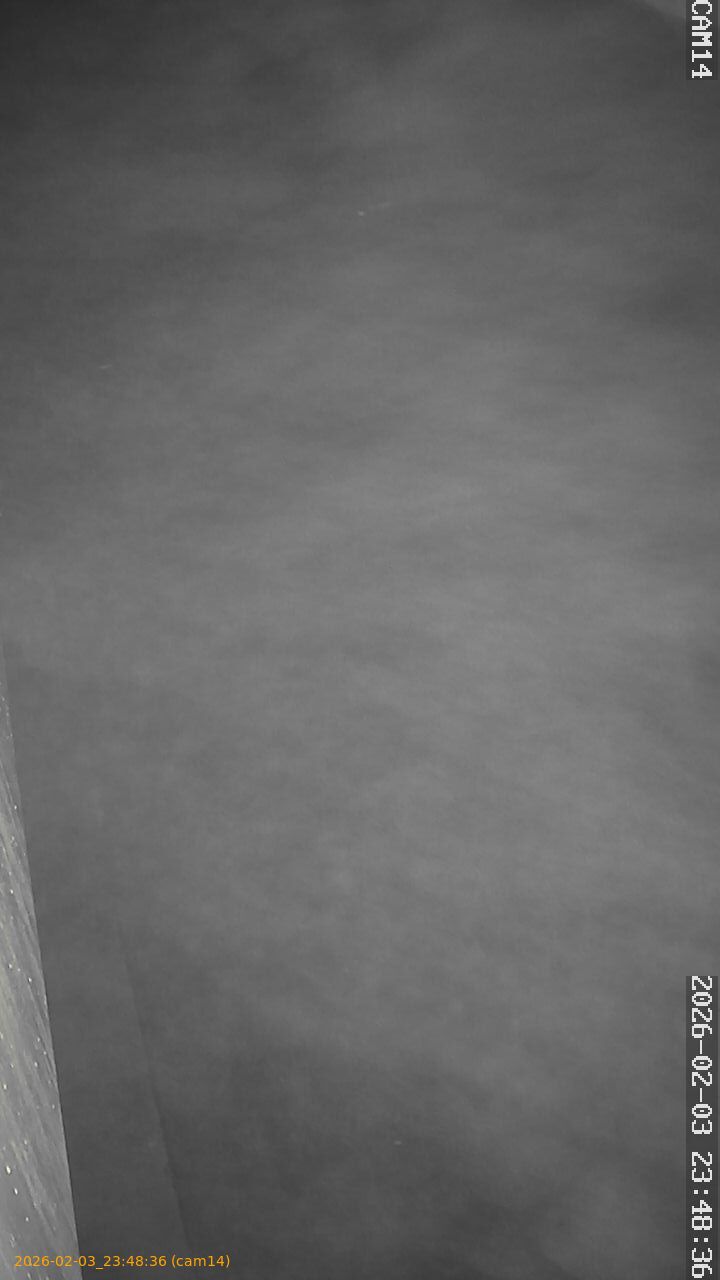 thumbnail_20260203234836