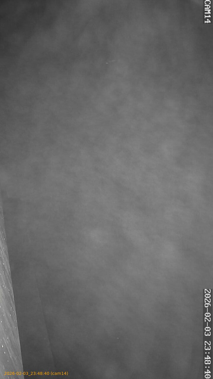 thumbnail_20260203234840