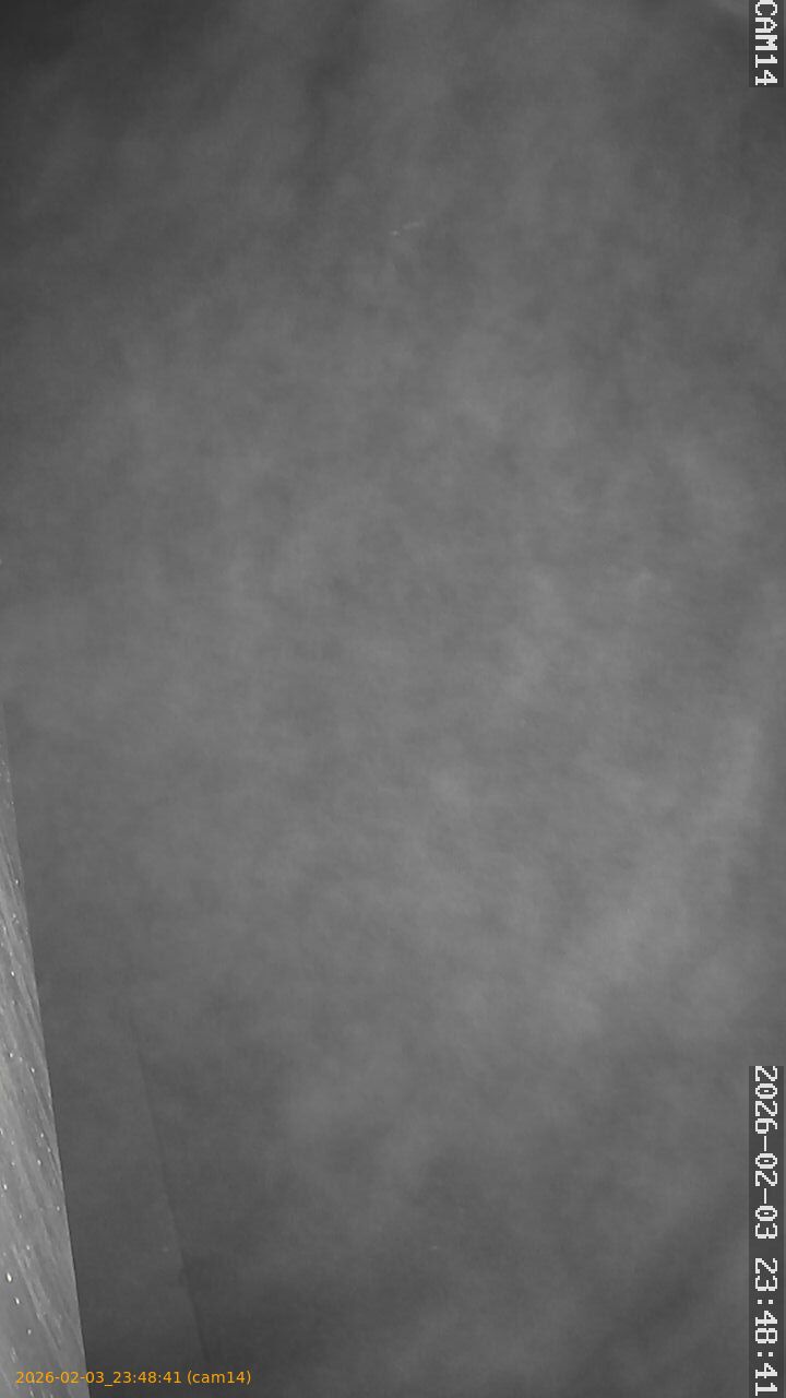 thumbnail_20260203234841