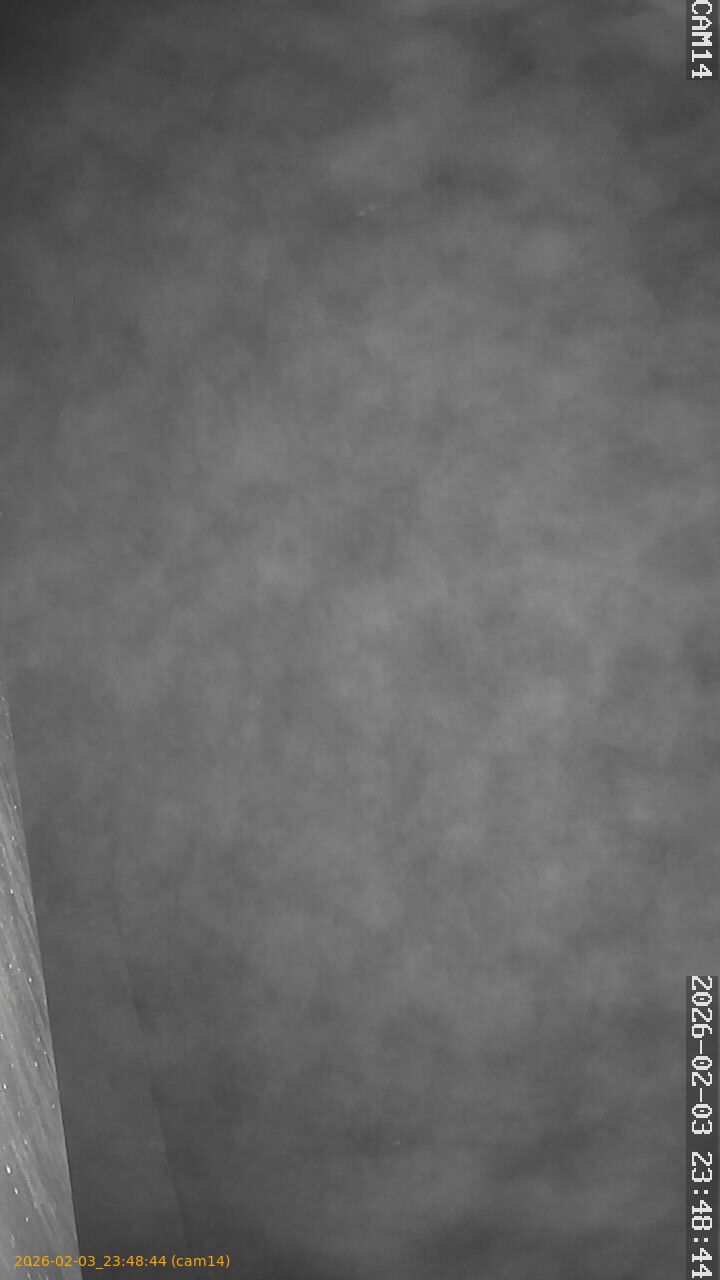 thumbnail_20260203234844