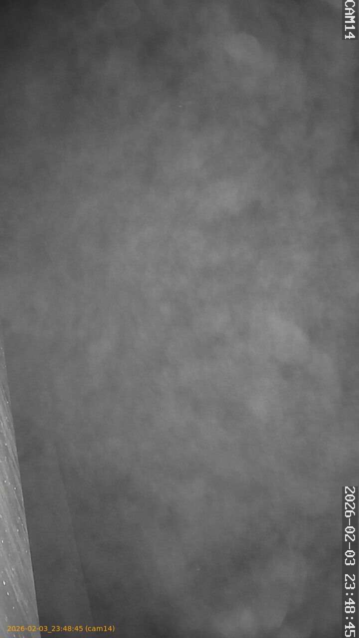 thumbnail_20260203234845