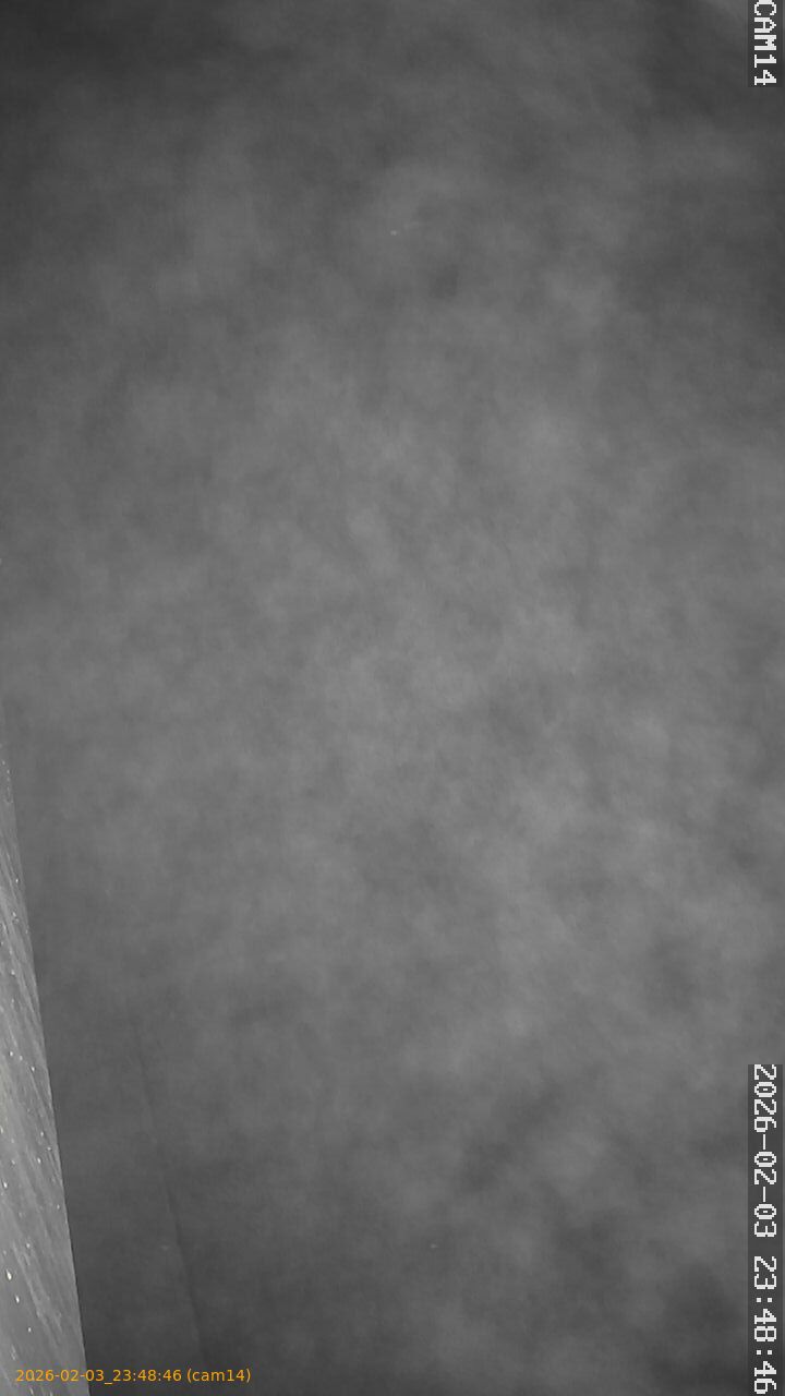 thumbnail_20260203234846