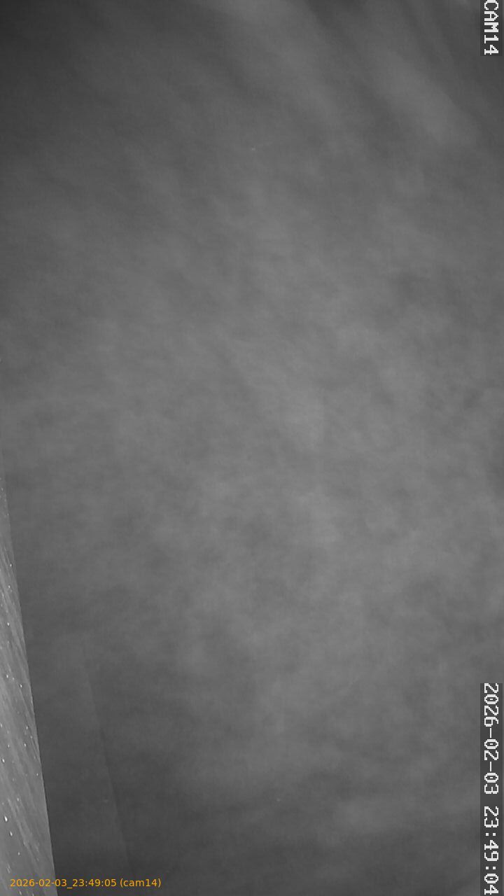 thumbnail_20260203234905