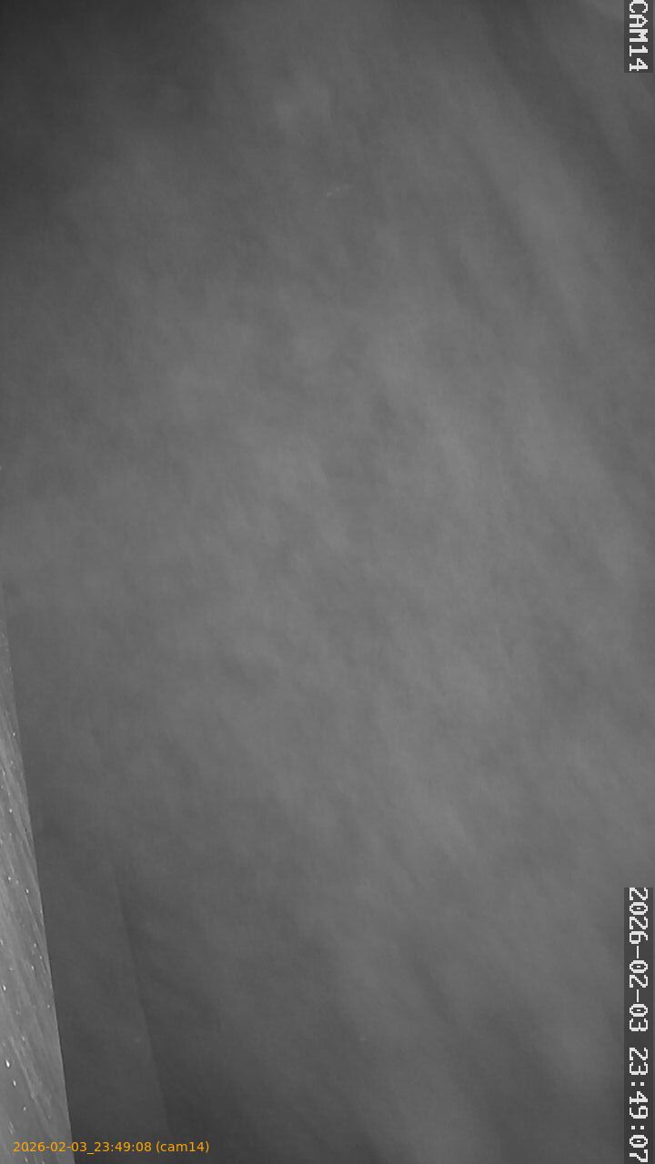 thumbnail_20260203234908