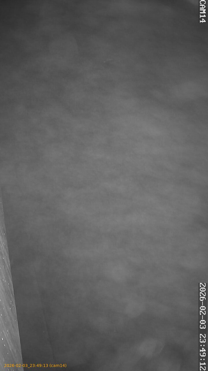 thumbnail_20260203234913