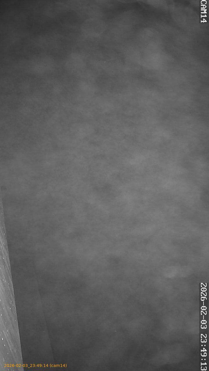 thumbnail_20260203234914