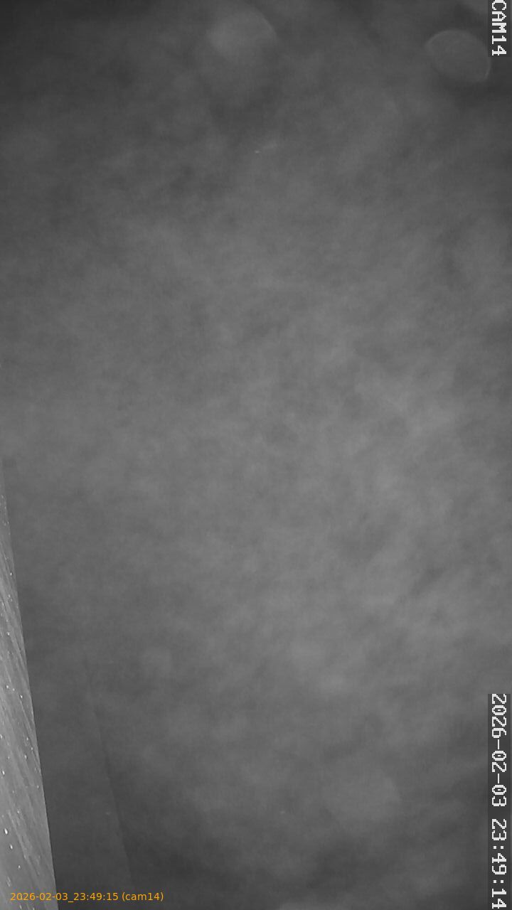 thumbnail_20260203234915