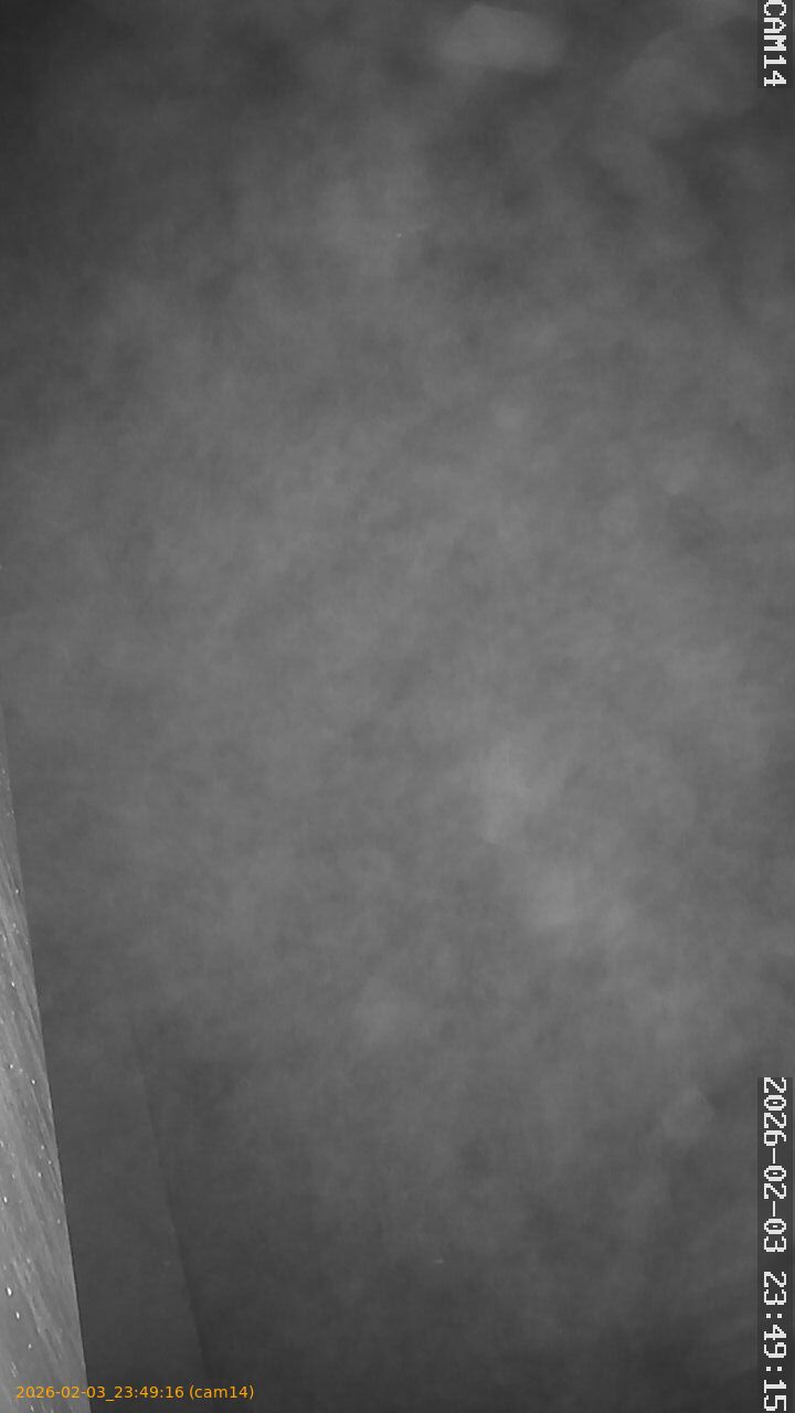 thumbnail_20260203234916