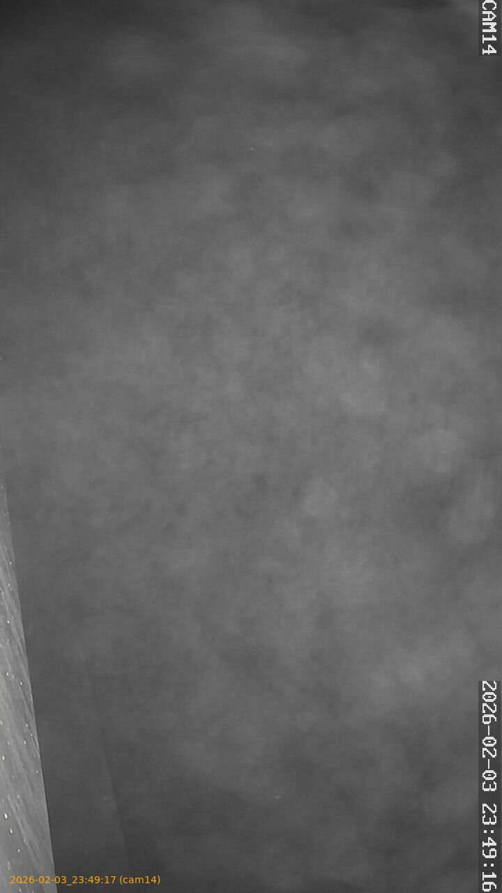 thumbnail_20260203234917