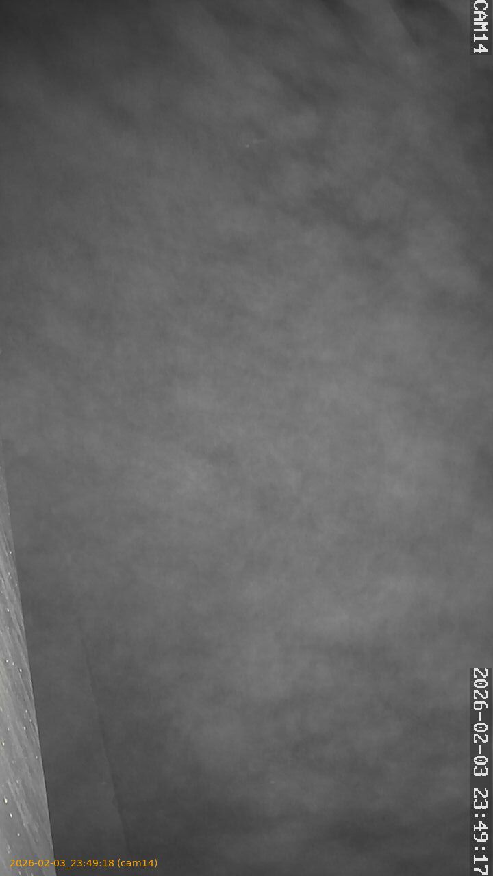 thumbnail_20260203234918