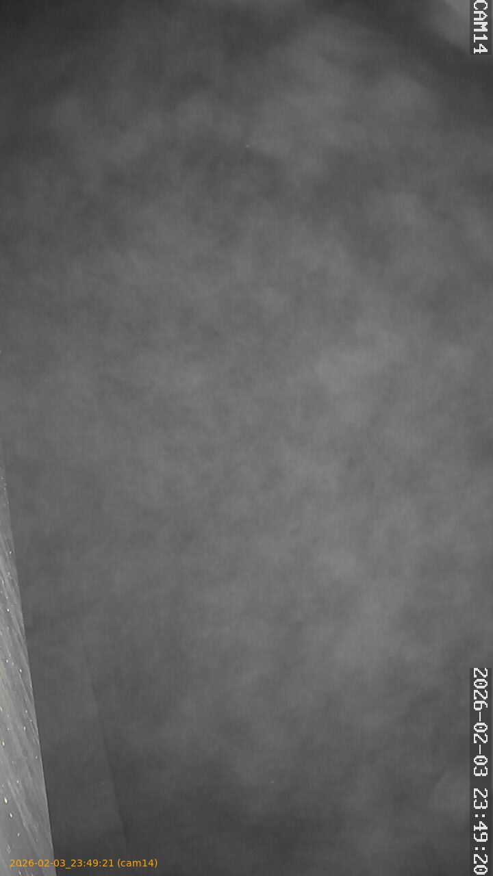 thumbnail_20260203234921