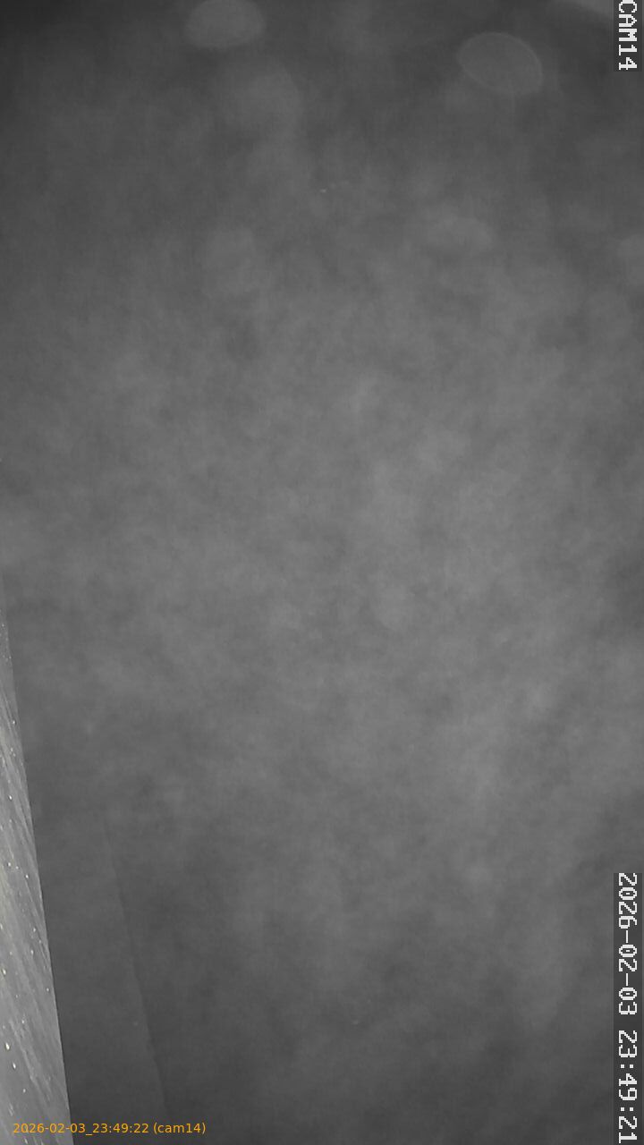 thumbnail_20260203234922