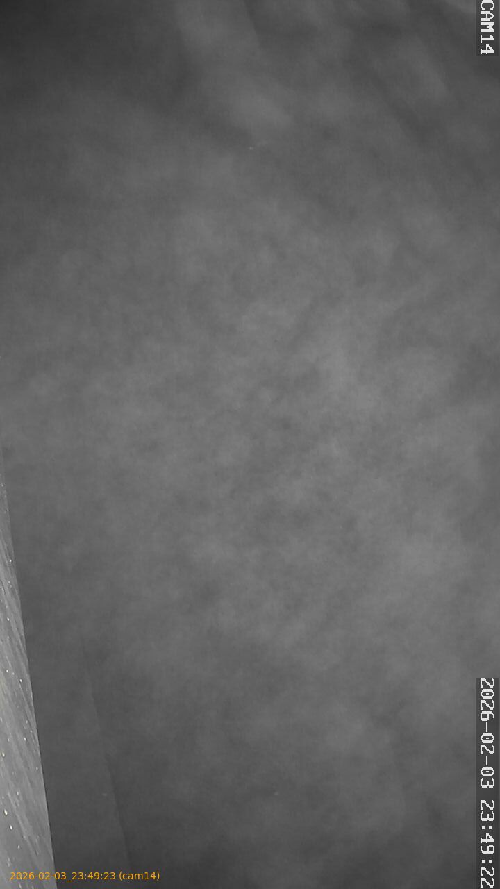 thumbnail_20260203234923