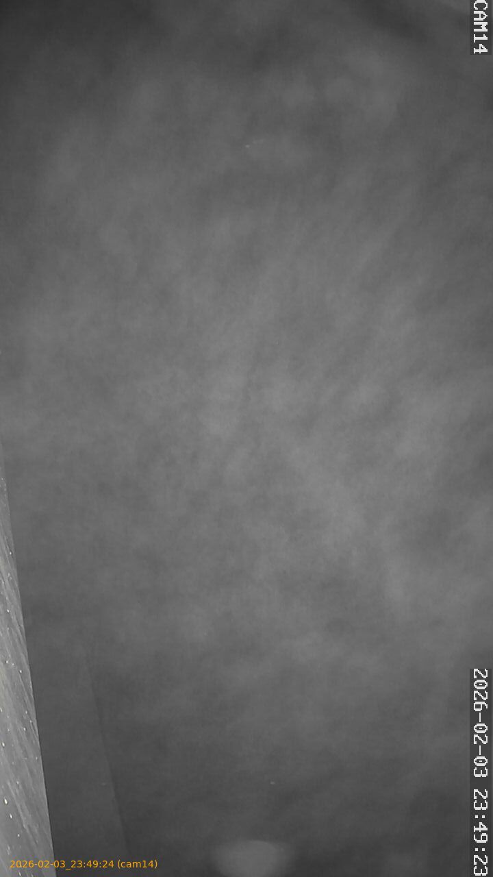 thumbnail_20260203234924