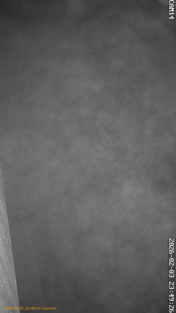 thumbnail_20260203234927