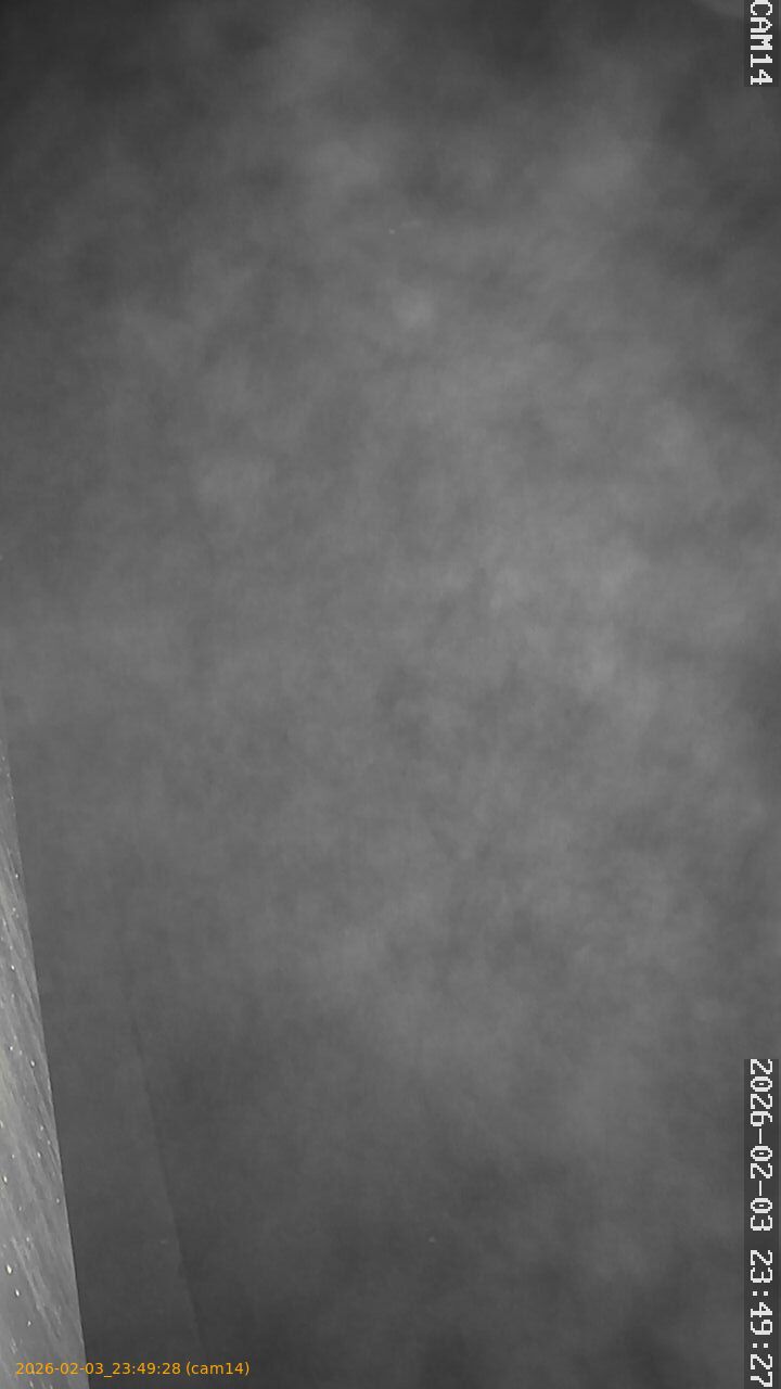 thumbnail_20260203234928