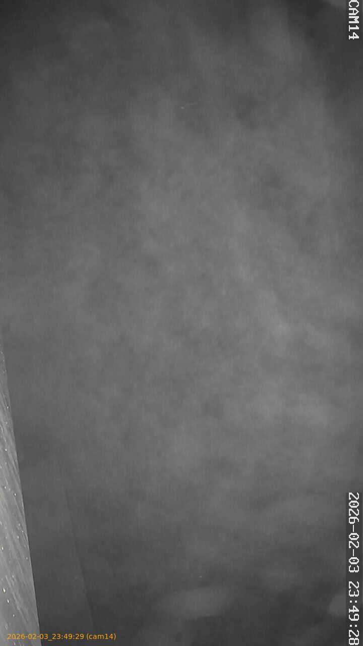 thumbnail_20260203234929