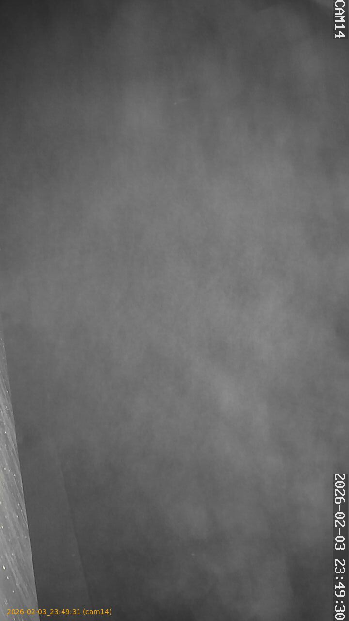 thumbnail_20260203234931