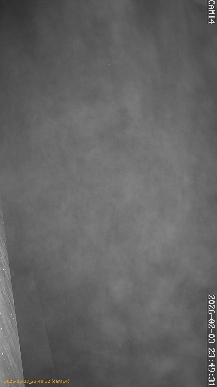 thumbnail_20260203234932