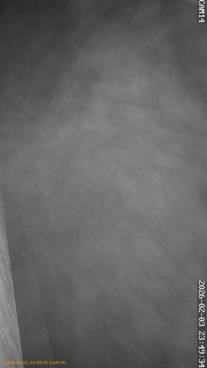 thumbnail_20260203234935