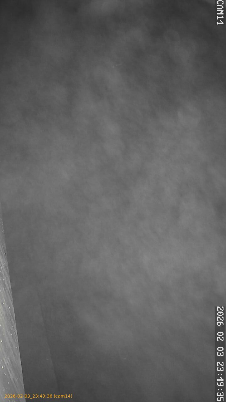 thumbnail_20260203234936