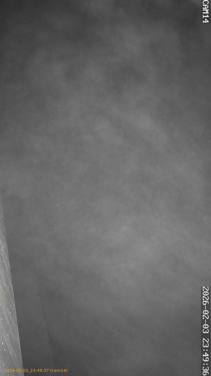 thumbnail_20260203234937