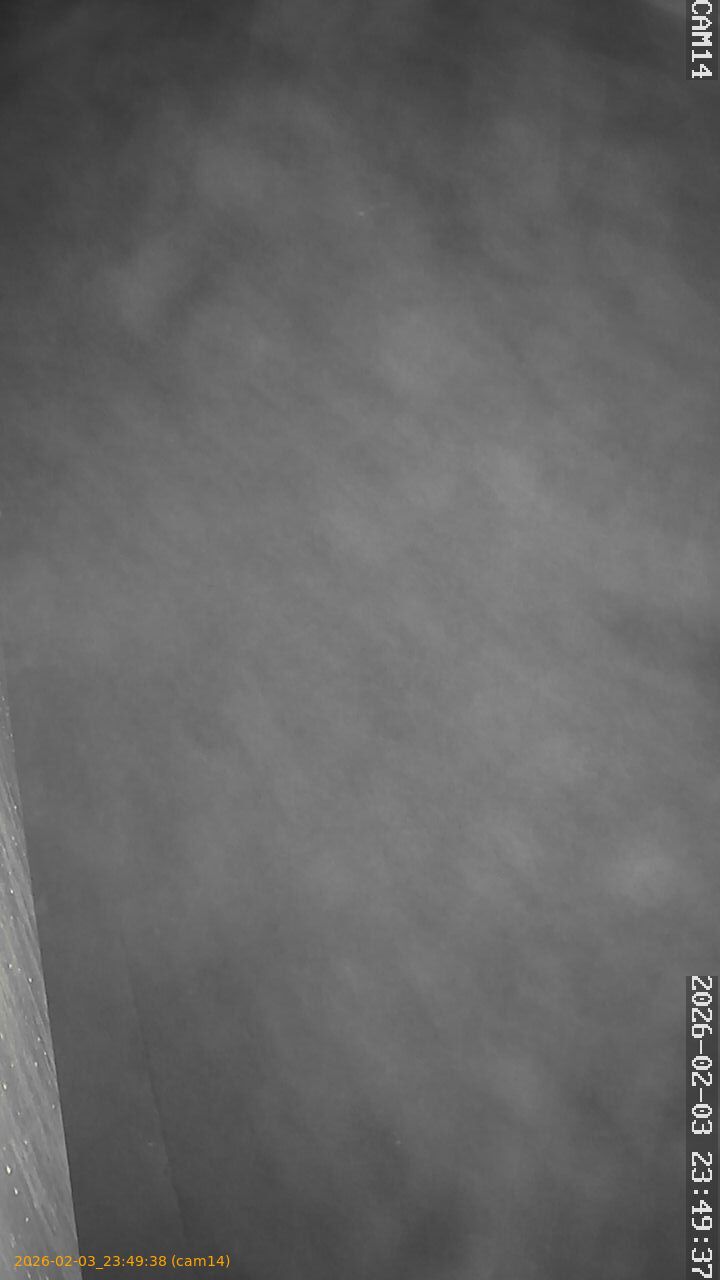 thumbnail_20260203234938