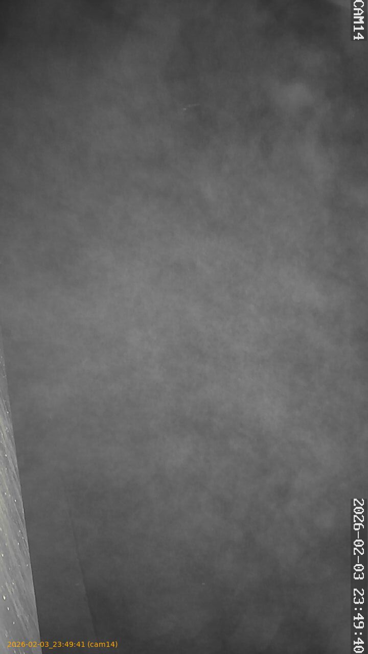 thumbnail_20260203234941